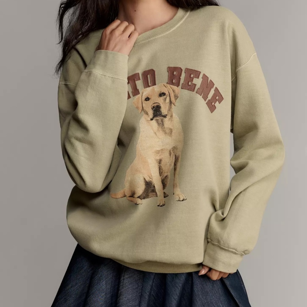 Anthropologie Dog Sweatshirt Top *LAB NWT size XS
